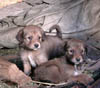 DSCN010806.jpg