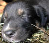 DSCN010819.jpg
