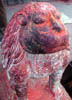 dscn010162.jpg