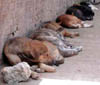 dscn010236.jpg