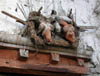 dscn010591.jpg