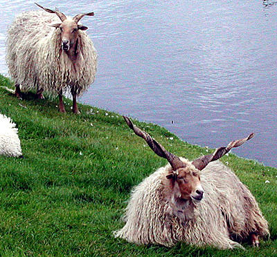 DSCN1296.jpg