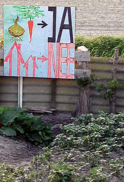 DSCN1595.jpg