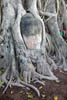 dscn0112361.jpg