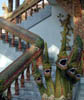 dscn0112625.jpg