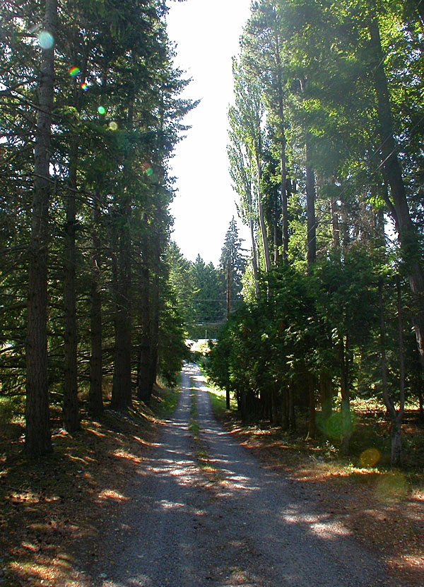 FF1070191.jpg