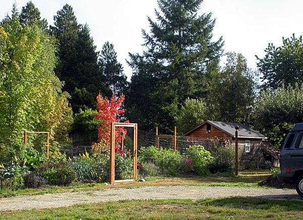FF1071056.jpg