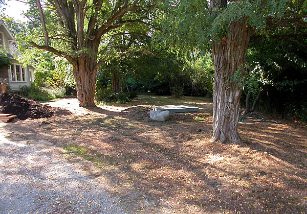 FF1071119.jpg