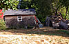 FF1071063.jpg