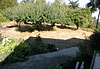 FF1071615.jpg
