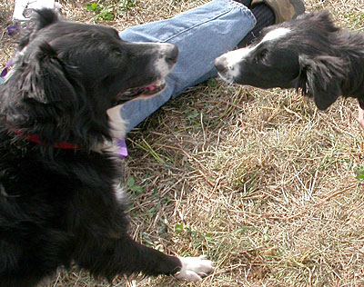 FF1071546.jpg