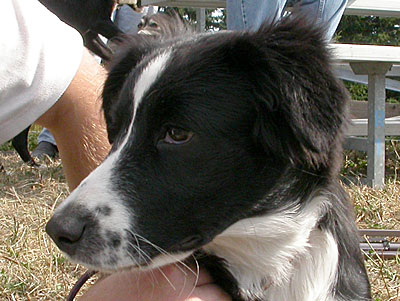 FF1071551.jpg
