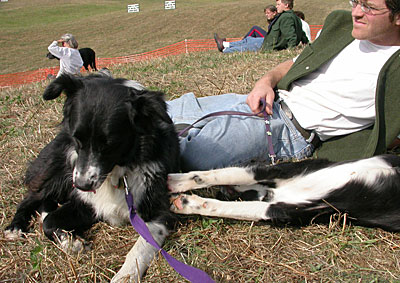 FF1071559.jpg
