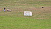 FF1071591.jpg