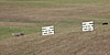 FF1071594.jpg