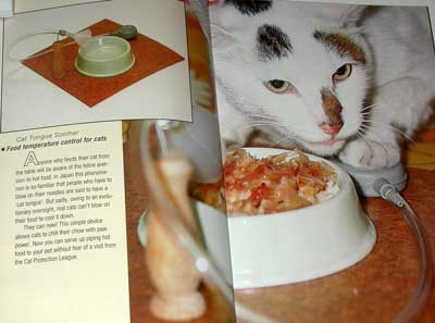DSCN5900.JPG